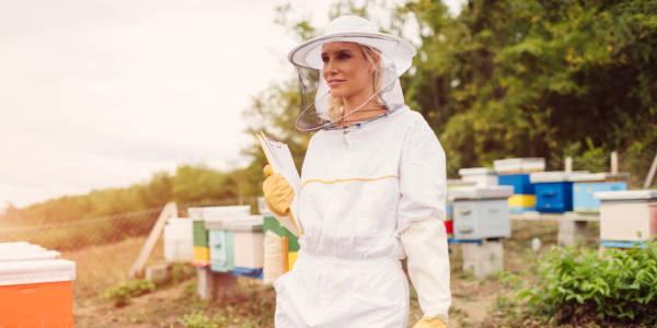 Le bruit de la ruche, être apicultrice en 2022