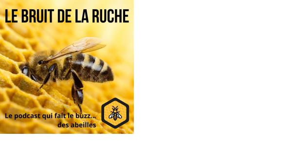L\'abeille et le bouleversement climatique : un nouvel épiside de notre podcast \
