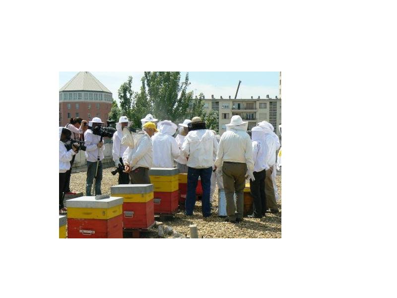 5e récolte de miel de la Région dans le cadre des APIdays 2012