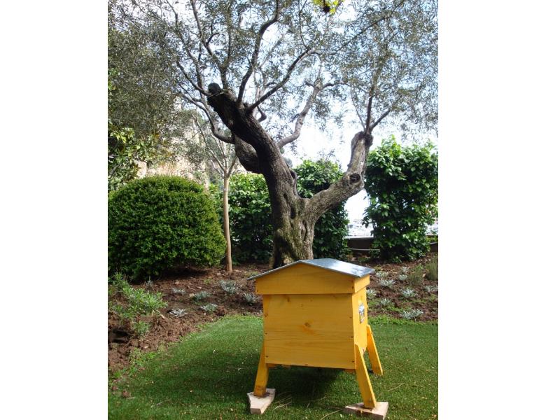 Une des ruches installée à Monaco (Crédit Photo UNAF)