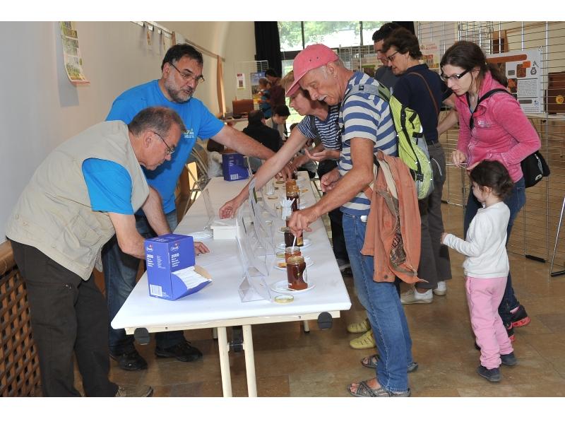 Atelier Dégustation de différents miels de France au APIdays au Chai de Bercy - Crédit Photo Félix Gilles